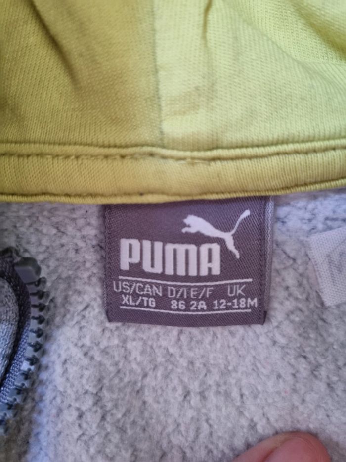 Jogging et sweet puma - photo numéro 2