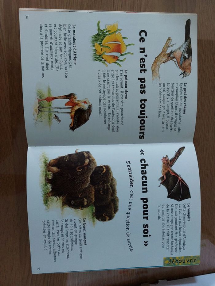 Livre drôles d'animaux - photo numéro 3