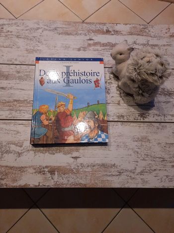 Livres de la préhistoire aux gaulois