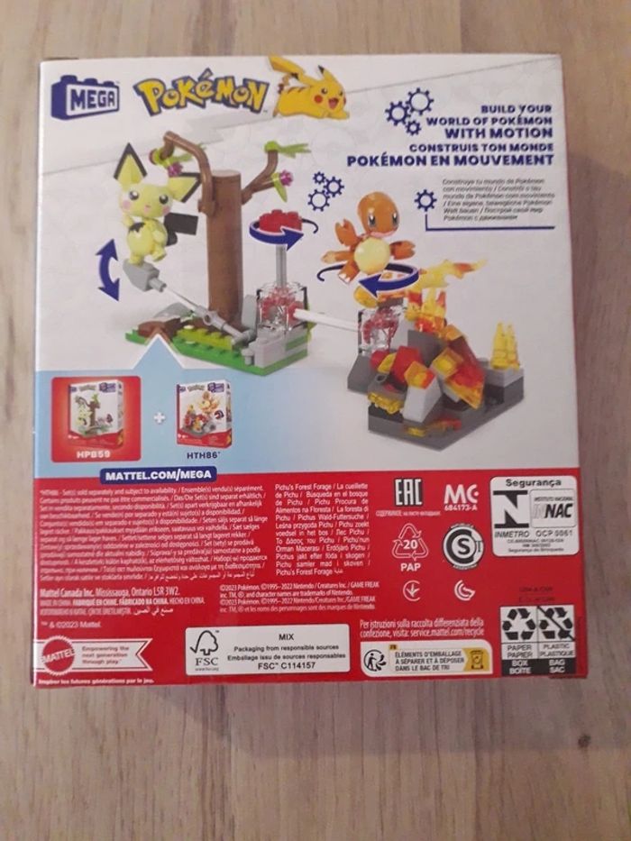 Méga pokémon, pichus forest - photo numéro 2