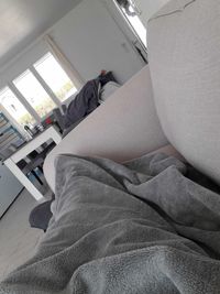 profil