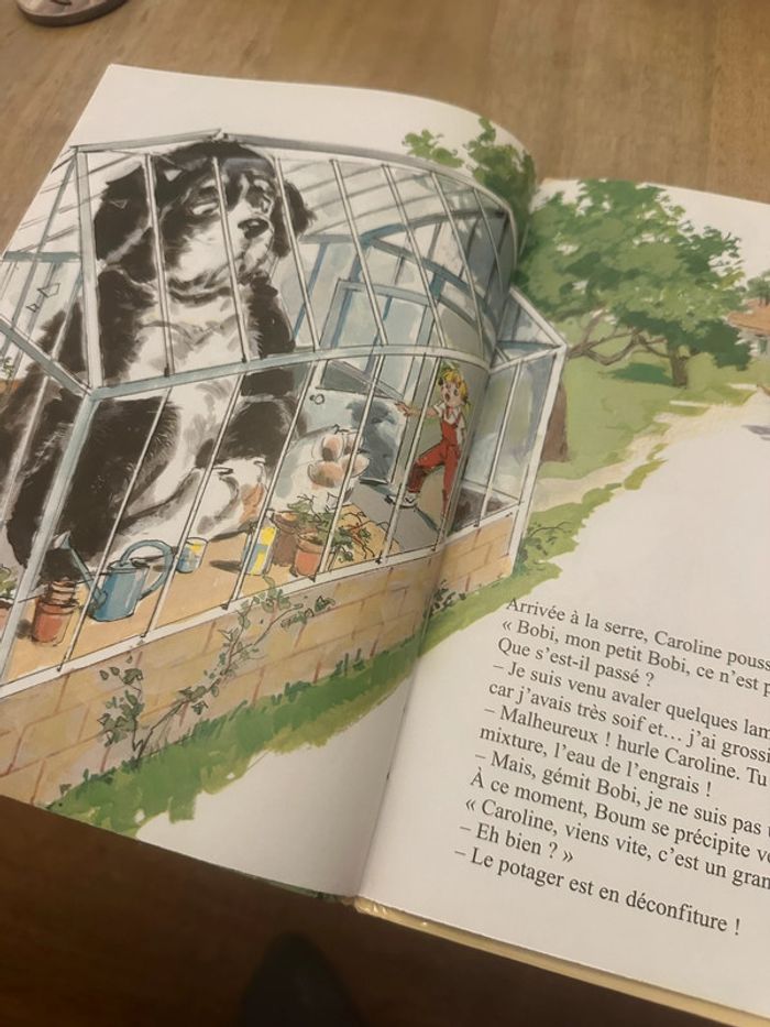 Pierre Probst - Caroline et le potager ensorcelé légumes géants livre bd album rare - photo numéro 6