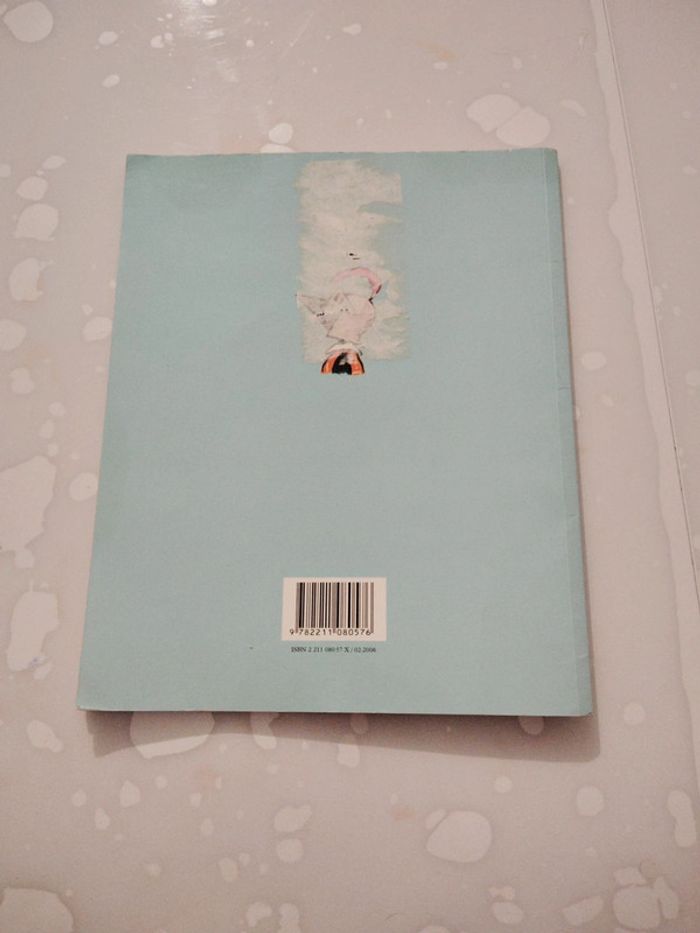 Livre Coco Panache - photo numéro 3