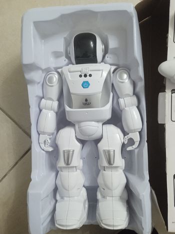 Robot 40 cm avec de multiples actions