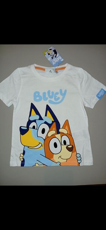 Tee shirt bluey