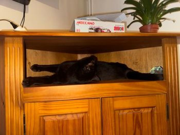 Livre The Devil’s Sons - photo numéro 4