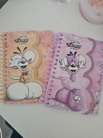 Lot de 2 carnets Diddl is Back