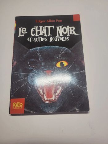 Le chat noir et autres nouvelles