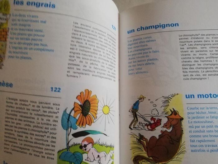 Qu est ce que c'est ? Encyclopédie jeunesse - photo numéro 2