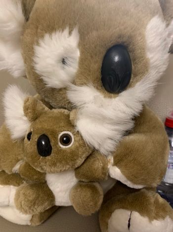 Peluche Koala 