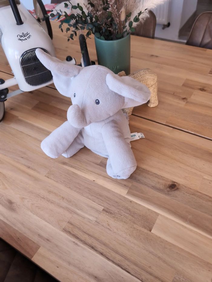 Éléphant qui chante - photo numéro 2