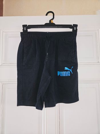 Short puma
