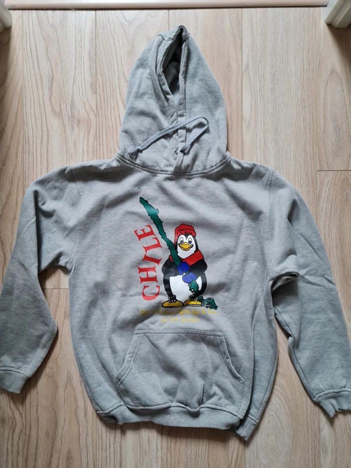 Sweat polo capuche chile chili pingouin