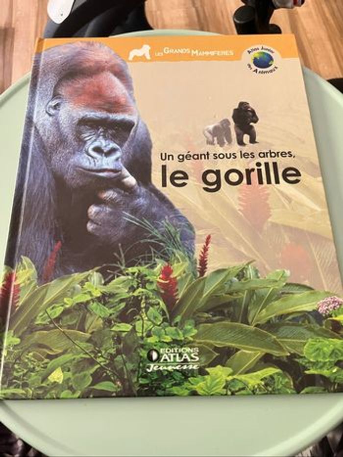 Livre un géant sous les arbres, le gorille