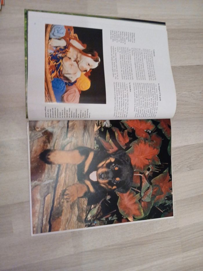 livre 📖 chiot - photo numéro 2