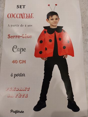 Deguisement enfant coccinelle