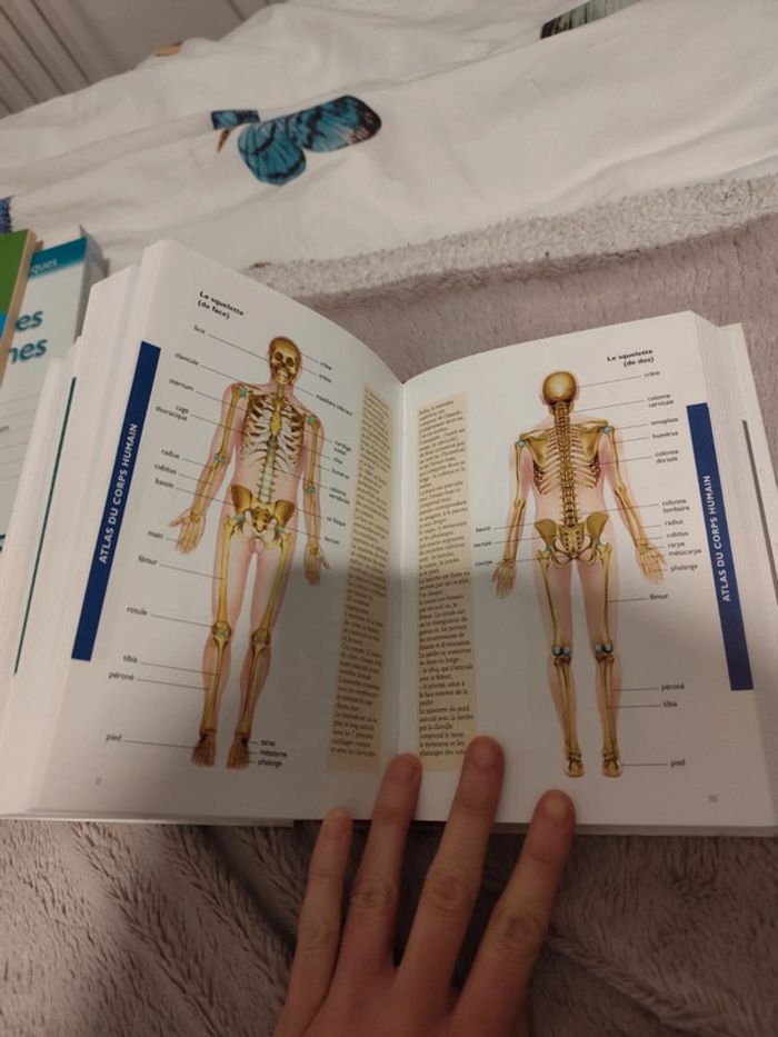 Dictionnaire de la médecine - photo numéro 3