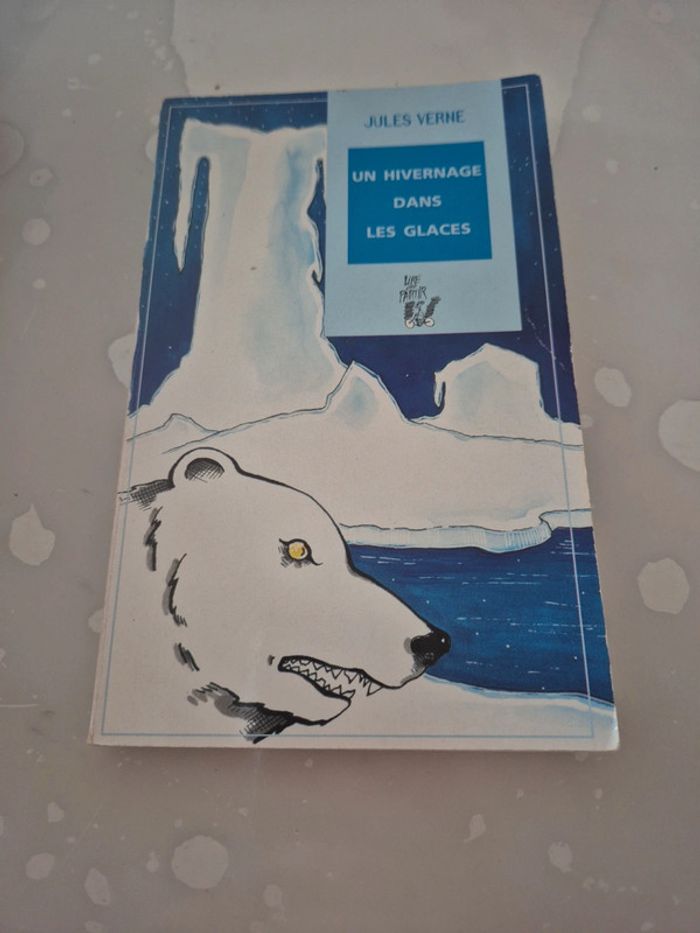 Livre un hivernage dans les glaces