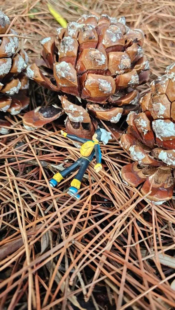 Super figurine Pokemon Nintendo Brice - photo numéro 3