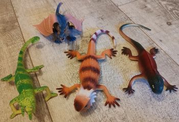 lot de lézards et dragon
