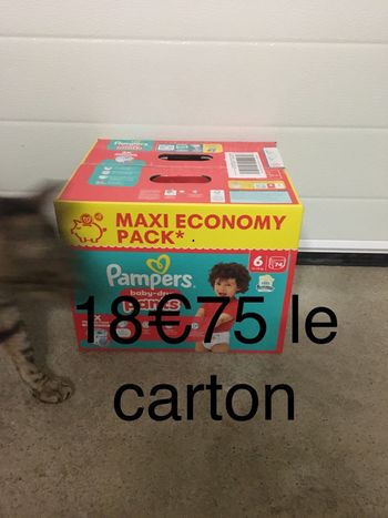 74 couches Pampers baby dry pants taille 6