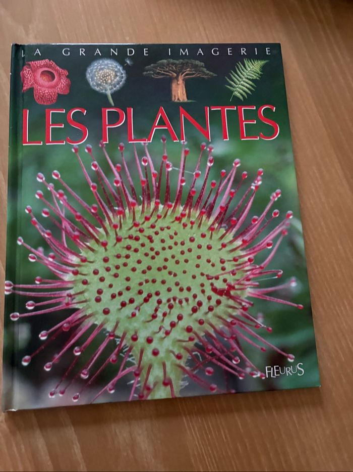 La grande imagerie - photo numéro 6