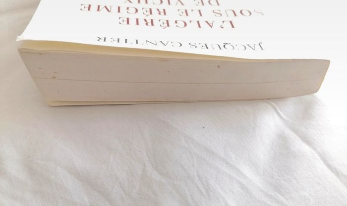 Livre L'Algérie sous le régime de Vichy - photo numéro 6