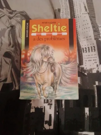 Sheltie a des problèmes