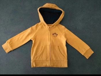 Gilet ou petite veste à capuche singe