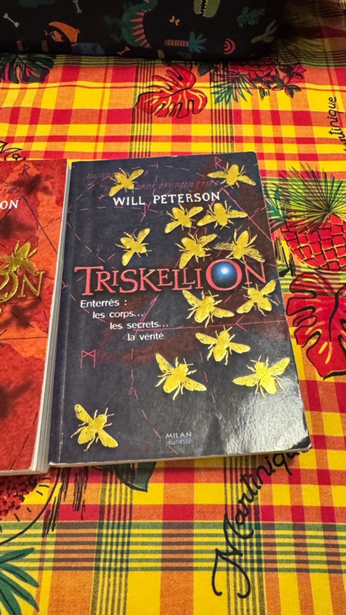 Lot de 2 livres Triskellion – Will Peterson – Suspense jeunesse captivant ! - photo numéro 3
