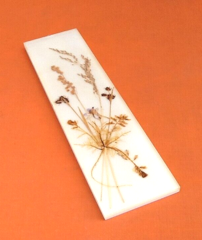 Années 1970 Herbier à suspendre fleurs pressées plexiglas