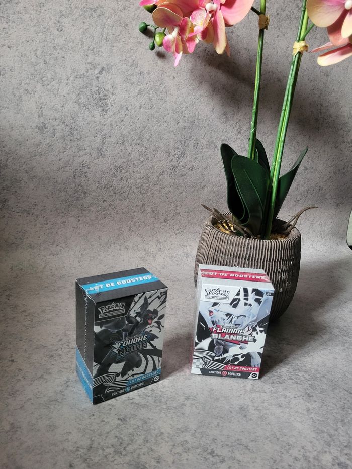 Pokémon Coffret Bundle Foudre Noire / Flamme Blanche Ev10.5 Fr - photo numéro 4