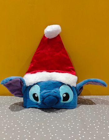 Bonnet stitch Disneyland Paris