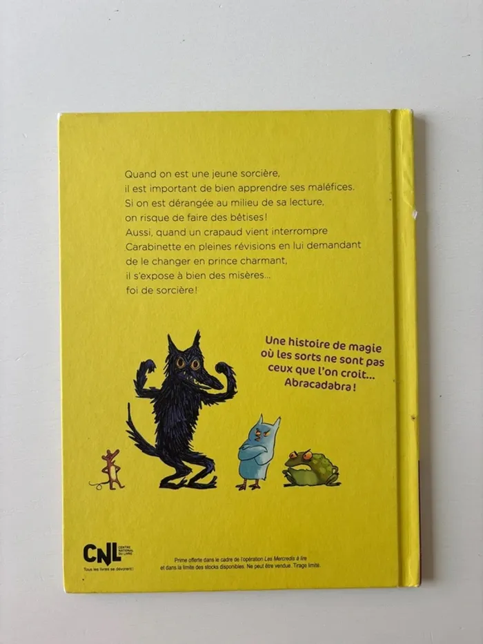 Livre carabinette la petite sorcière qui n’en fait qu’à sa tête - photo numéro 2