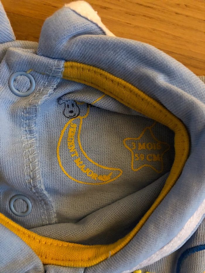 Grenouillère - photo numéro 3