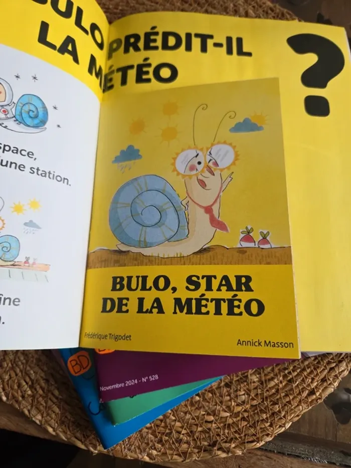 Lot de 5 Tobbogans. Dès 6 ans - photo numéro 4