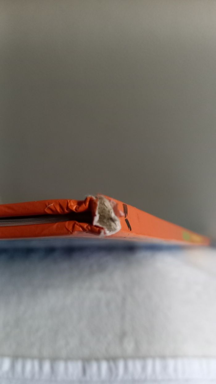 Les origines, collection questions/réponses - photo numéro 5