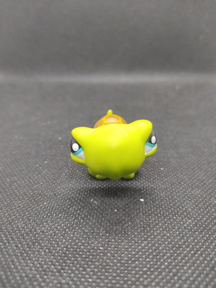 Littlest Petshop LPS tortue turtle 230 hasbro #geektradelpstortue - photo numéro 2