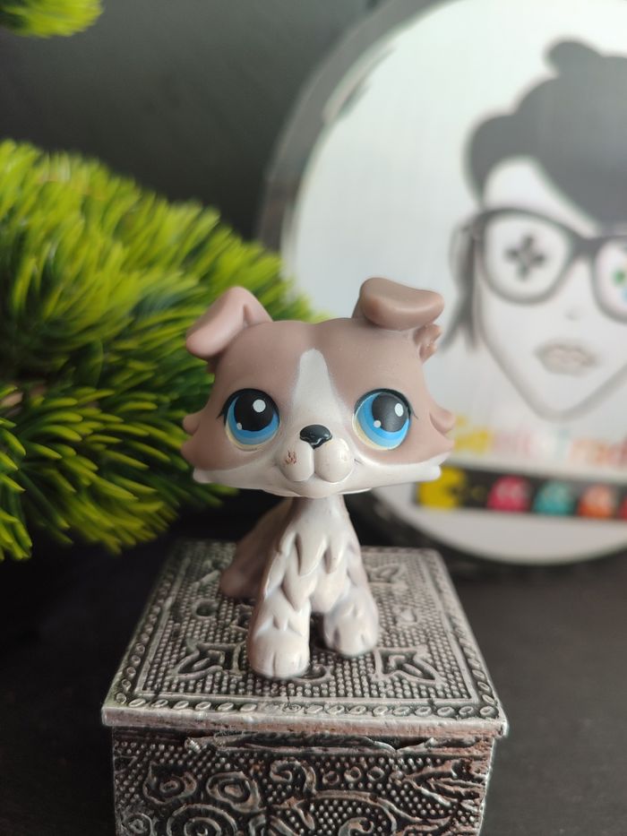 My Littlest Petshop Pet Shop LPS Authentic Authentique Dog Collie Colley 67 - photo numéro 2