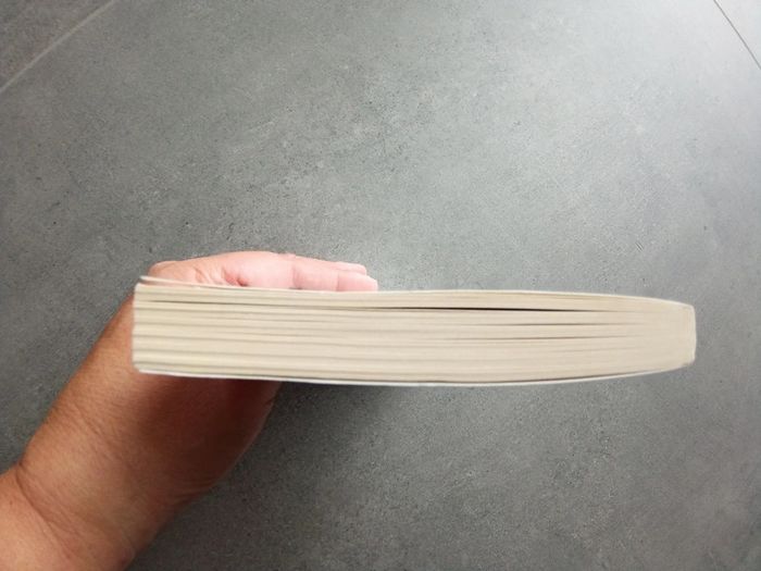 Livre de poche bubble gum Lolita Pille - photo numéro 4