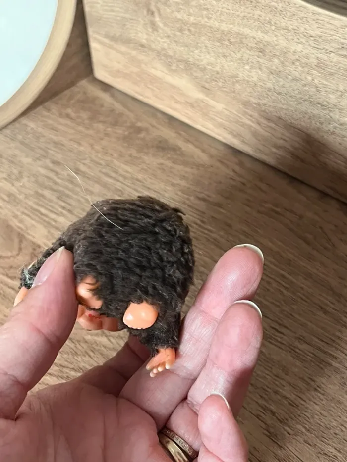 Mini kiki - photo numéro 4