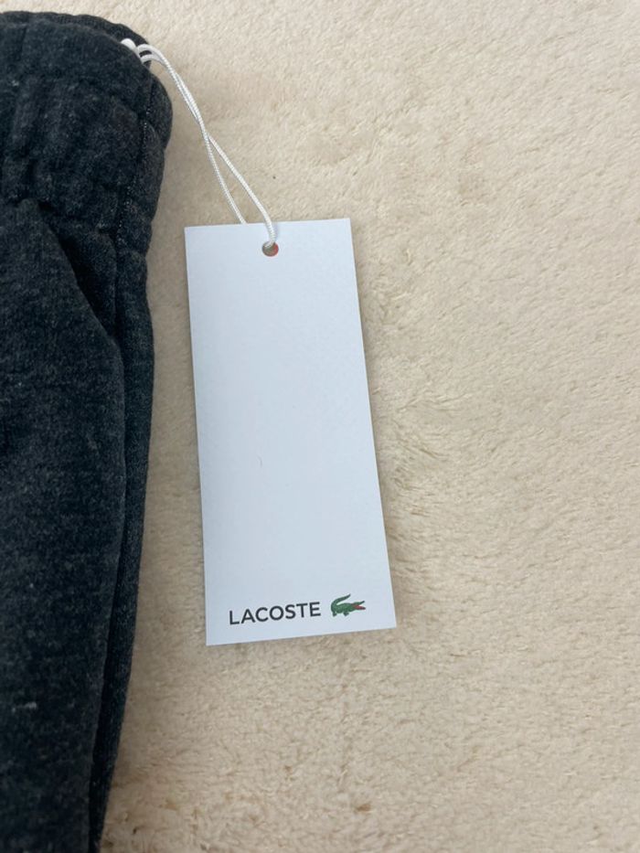 Jogging Lacoste Neuf Taille XS - photo numéro 10