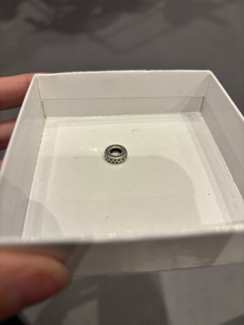 Charme en argent Pandora 