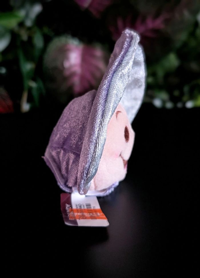 Petites huîtres à scratch - photo numéro 10