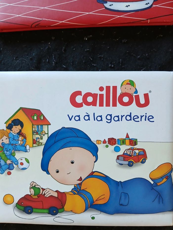 Lot de 2 livres caillou - photo numéro 2