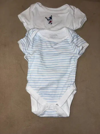 Lot de 2 bodies manches courtes