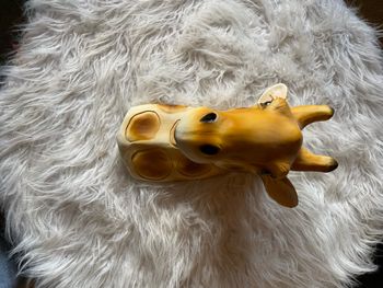 Décoration murale animaux