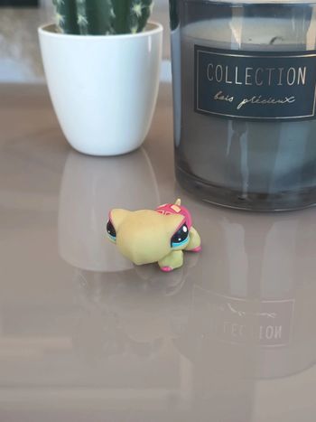 Littlest Pet Shop #1310 green and coral turtle