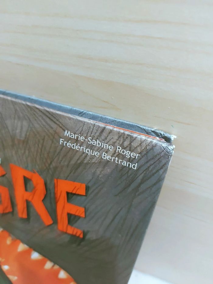 📚 Livre : Le vieil ogre - photo numéro 8