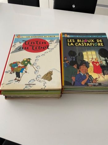Collection Tintin ⚠️ bien lire l’annonce svp